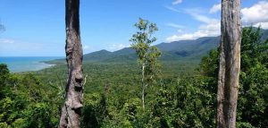 Cape Tribulation Accommodation